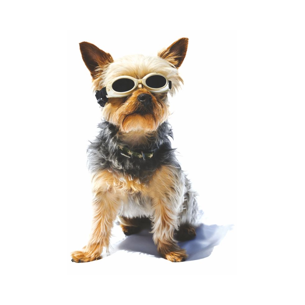 Laserschutz-Doggles® Kit